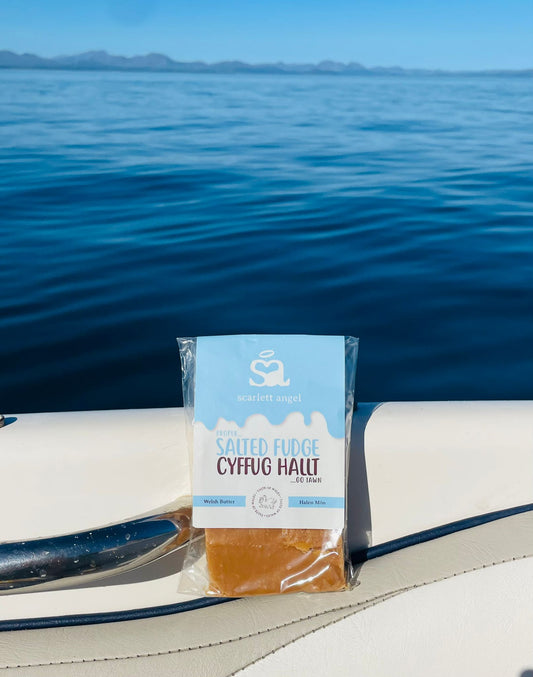 Welsh Salted Fudge Slab 100g