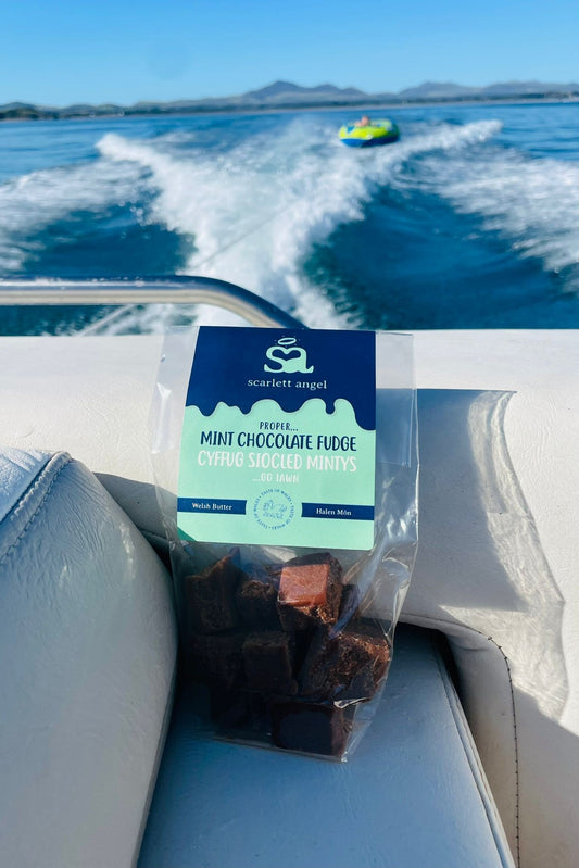 Welsh Mint Chocolate Fudge 100g