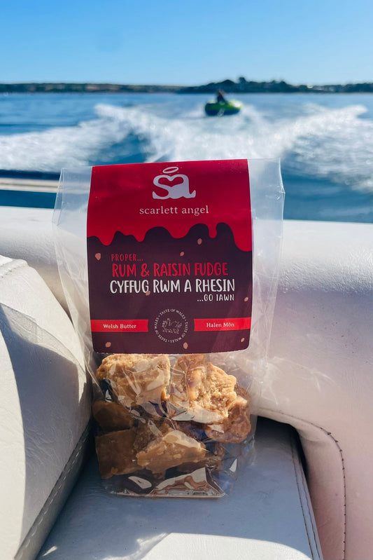 Welsh Rum & Raisin Fudge 100g