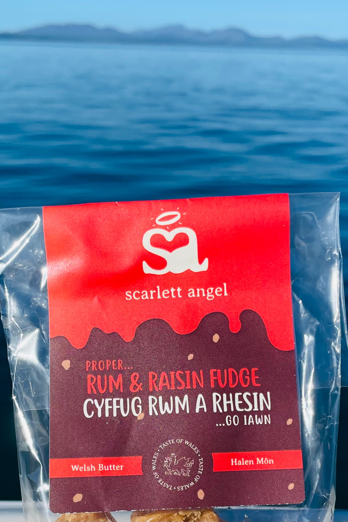 Cyffug Slabiau Rwm a Rhesin Cymreig
