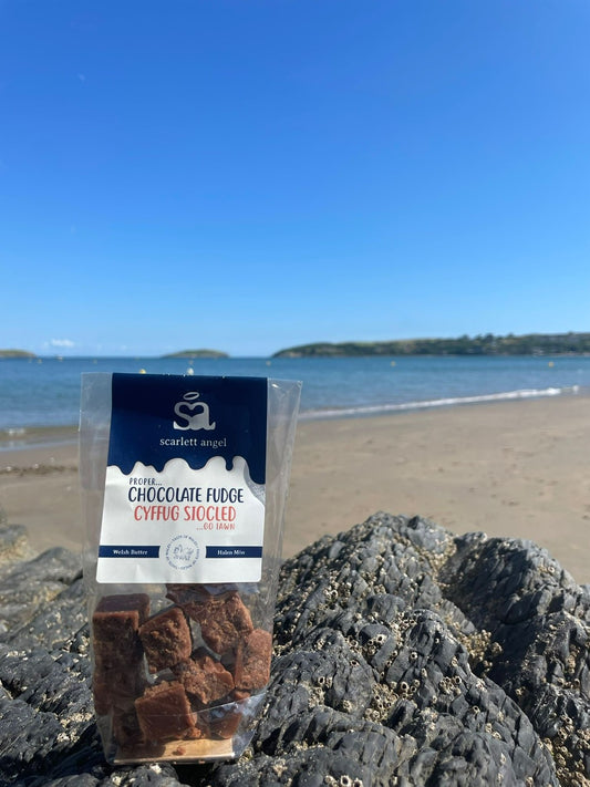 Welsh Chocolate Fudge 100g